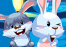 My Sweet Bunny